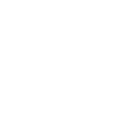 Negotiable Instrument