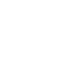 Civil Laws