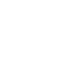 Cyber Laws