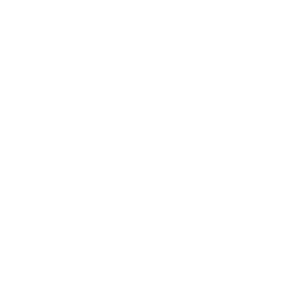 Arbitration and International Affairs