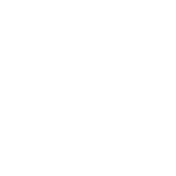Intellectual Property Rights