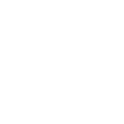 Revenue Affairs